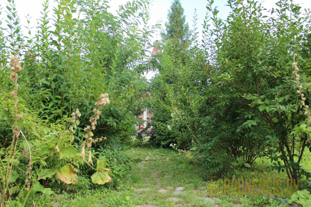 dziewiatouka kaplica-32