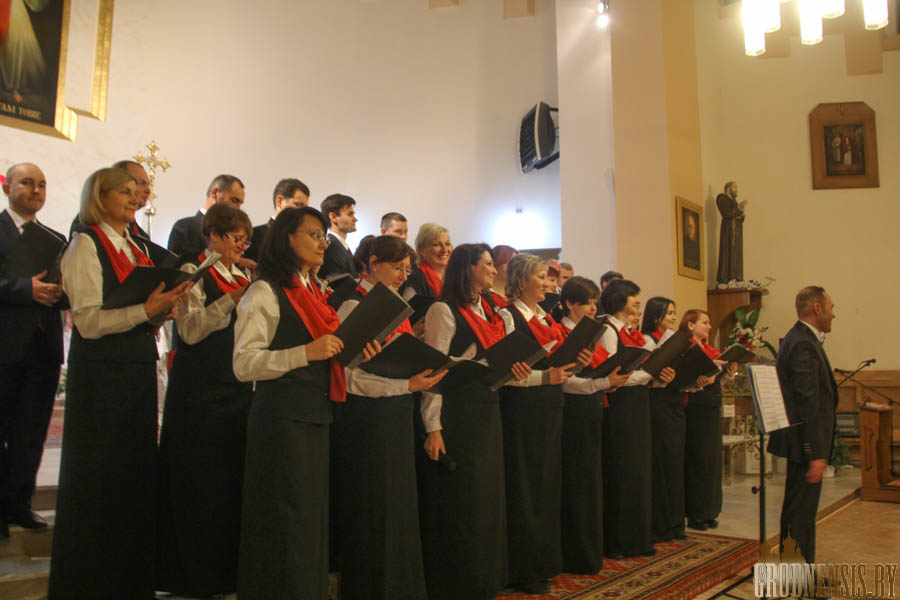 hor 20