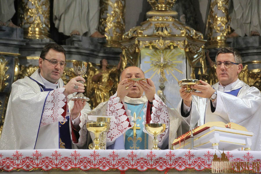 imsza sinod 17