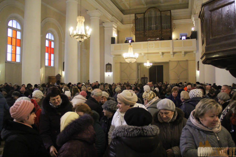 imsza viaczery pana vlk 24
