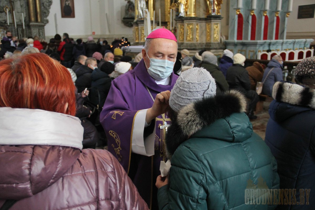 popelec katedra 35