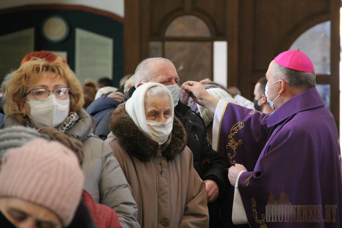 popelec katedra 39