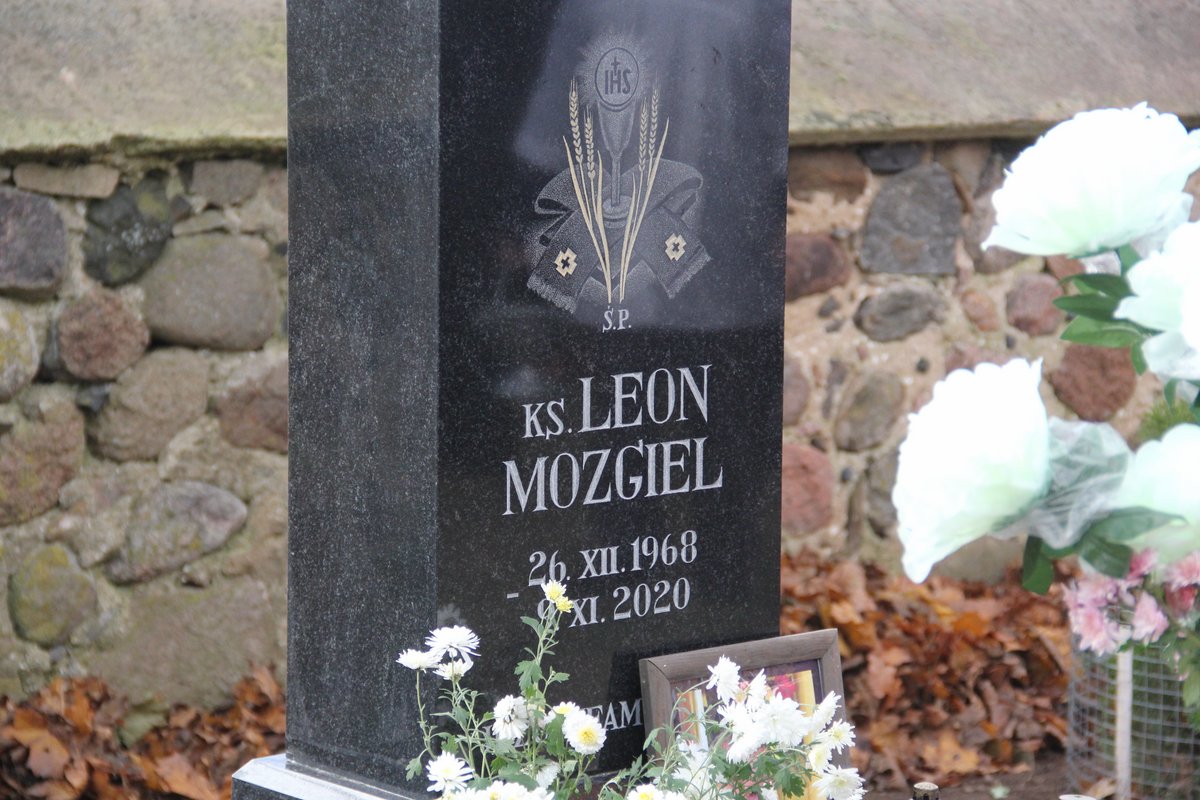 mozgel_38