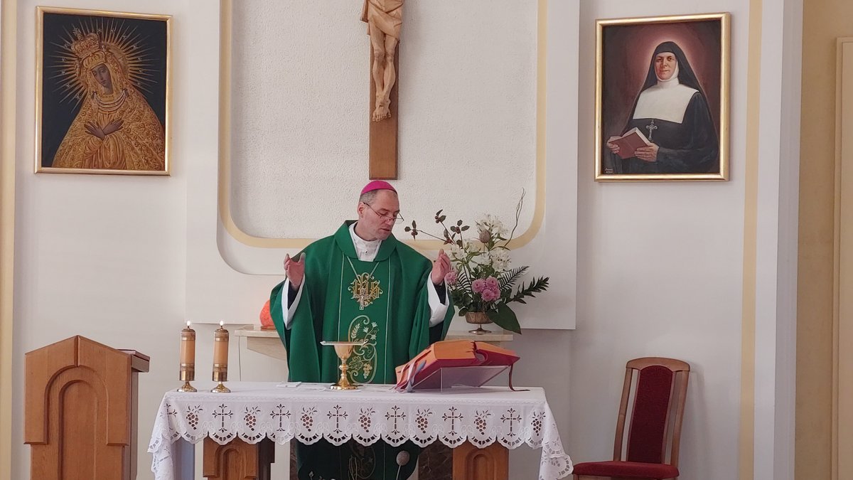 msj_5