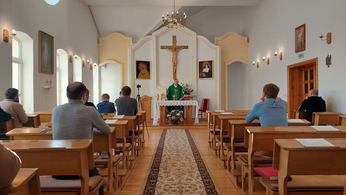 msj 6