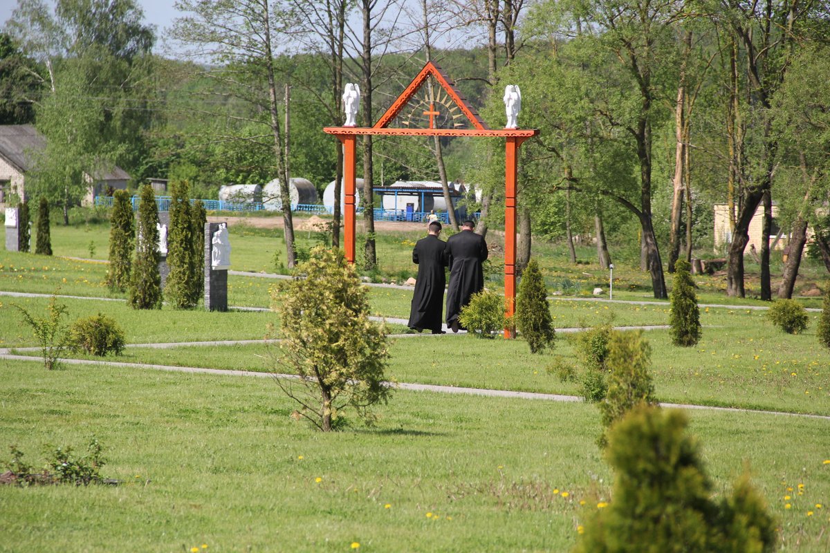 trok_sustrecza_61
