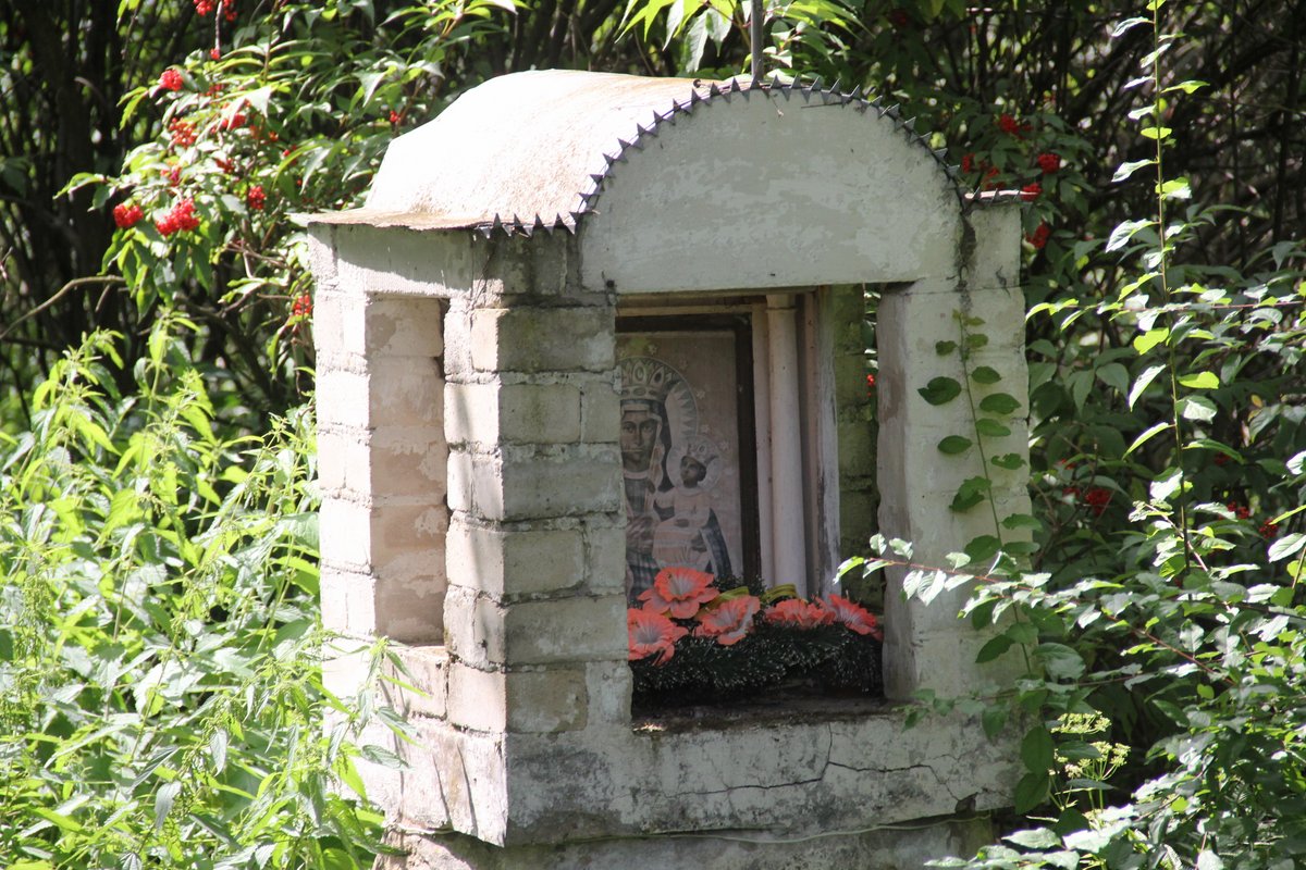 piligrymka_naumowicze_76