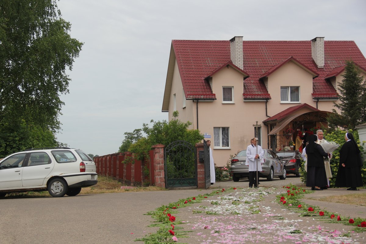 zaludok_44