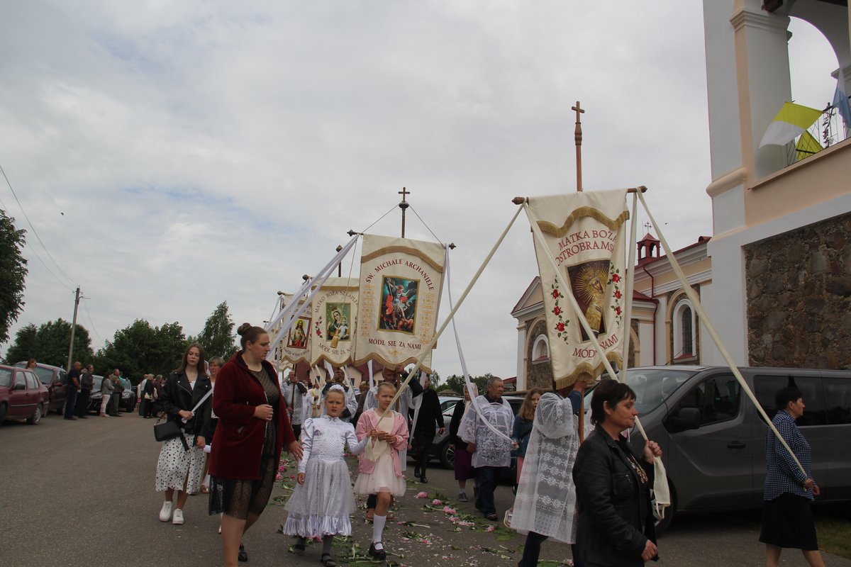 zaludok_49