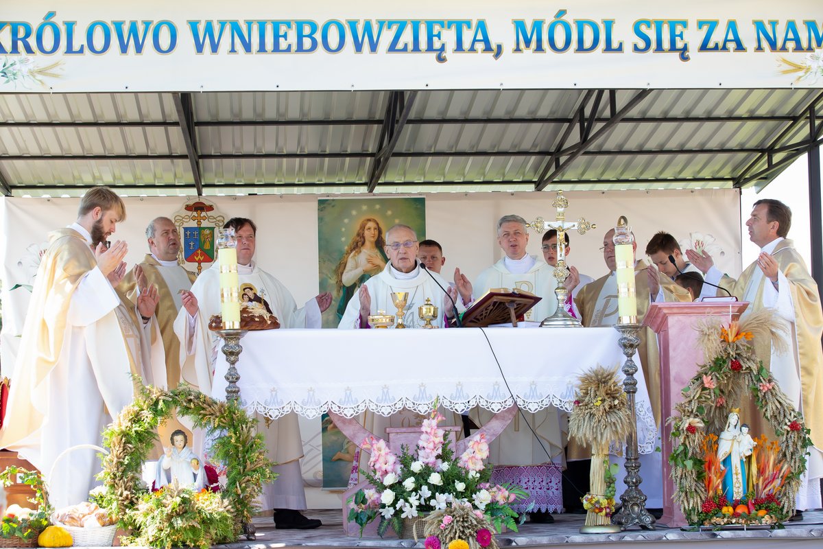 adelsk_kondrusewicz_1