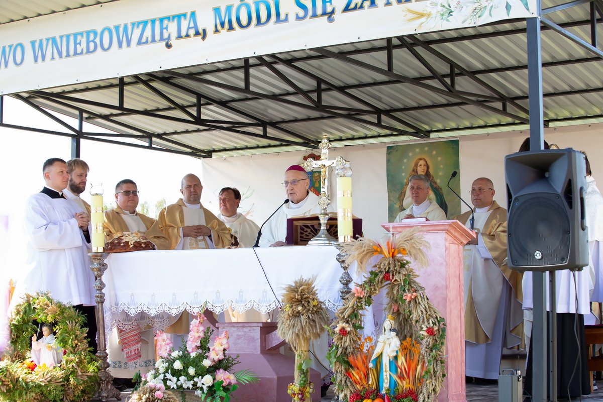 adelsk_kondrusewicz_5