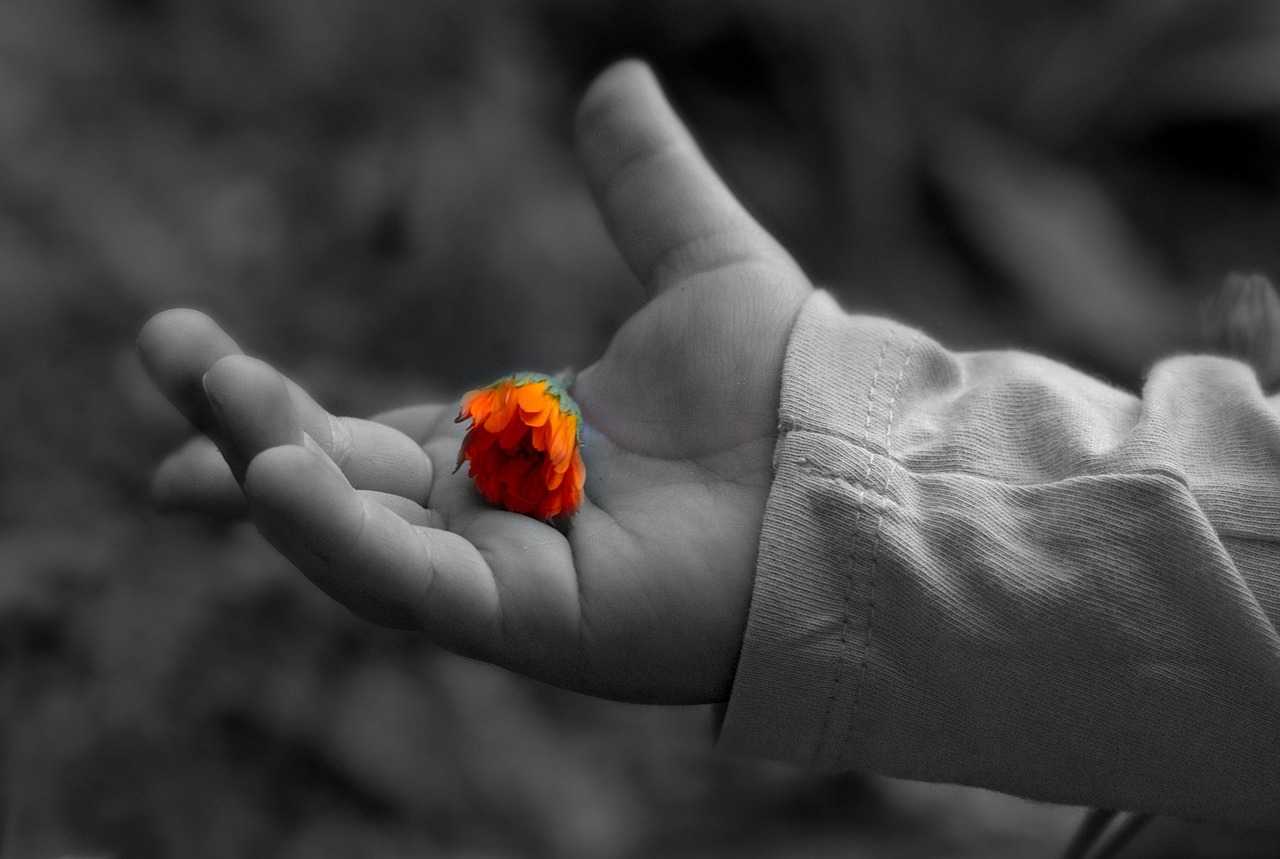 hand 2368250 1280