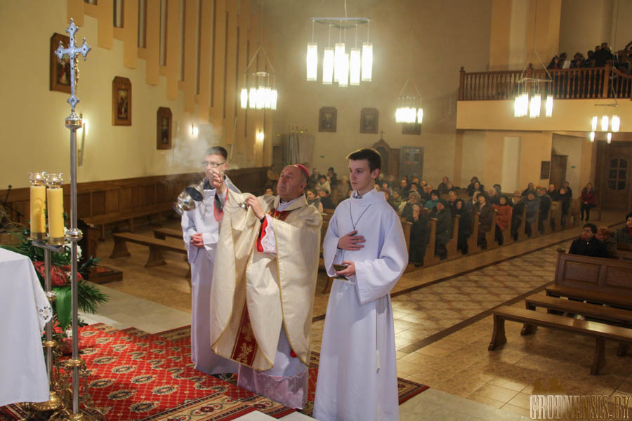 staneuskiC 4
