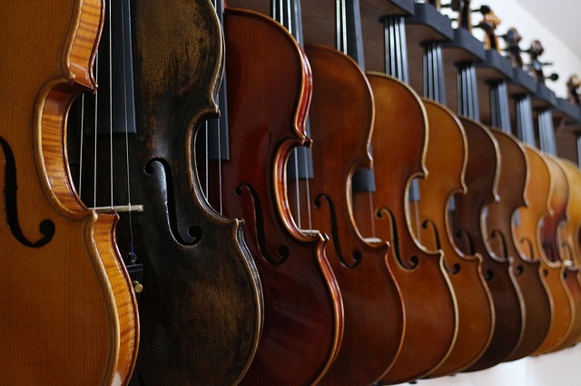 violin 516023 640