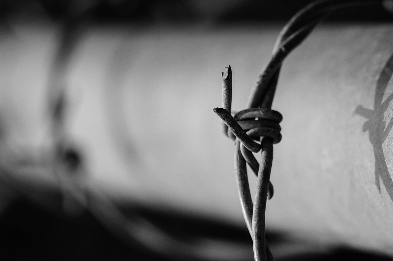 barbed wire 1899854 1280