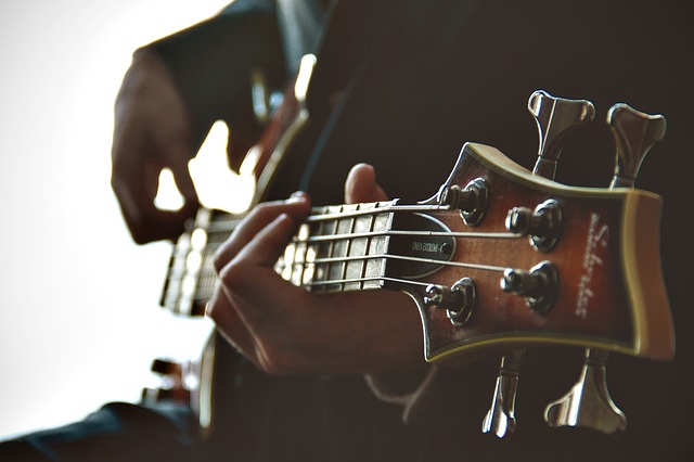 guitarist 1031087 640