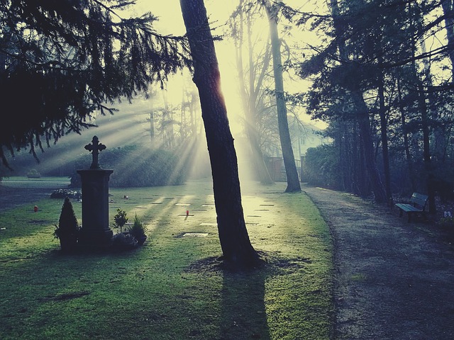 cemetery 883417 640