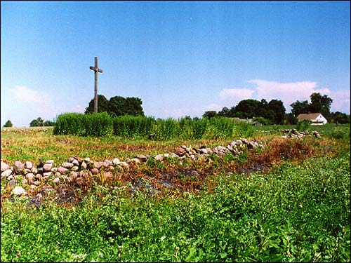 lipniczki 2