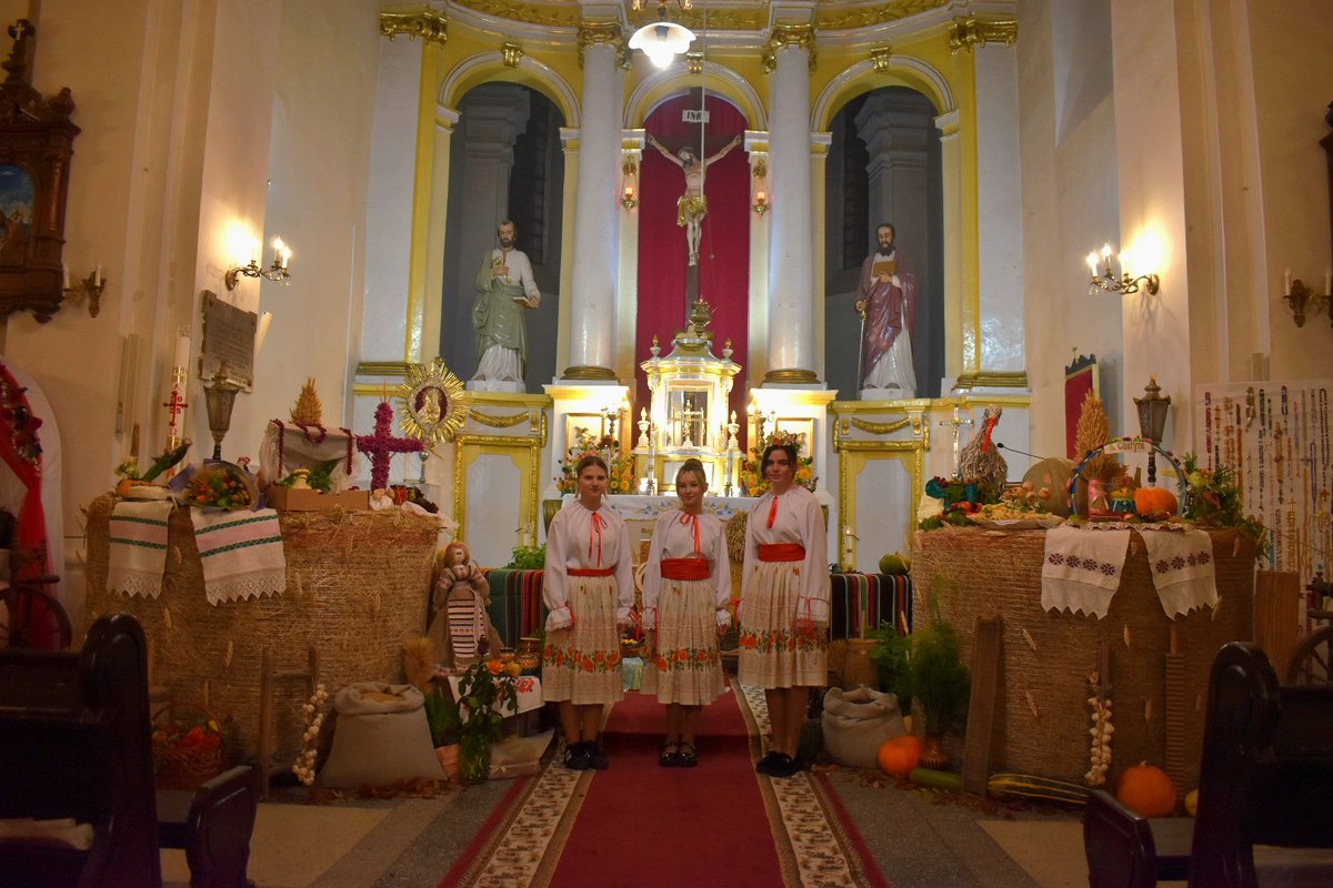 iue_dzynki_24