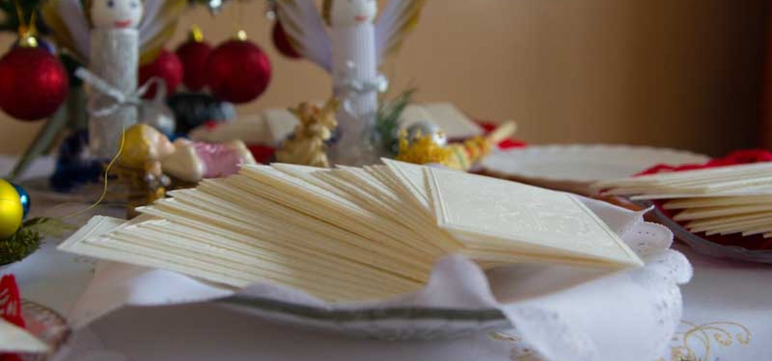IMG 3744-1508x706 c