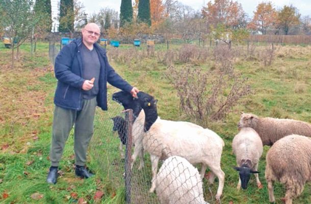 Беняконскі каўчэг